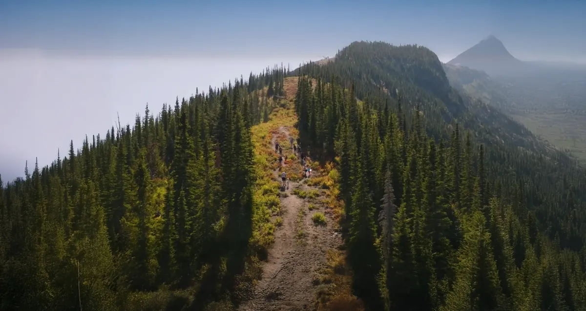 Aerial view of hikers gathering huckleberries at Huckfest Castle Mountain.